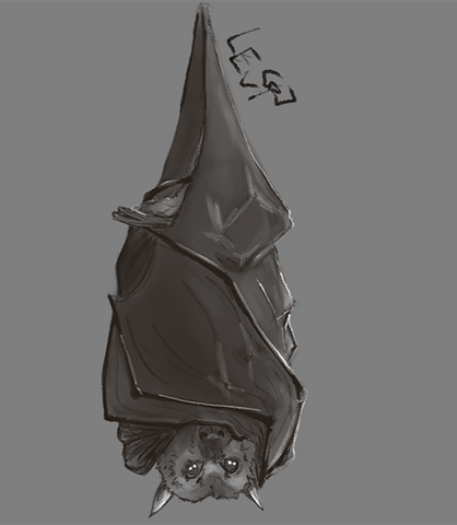 Bat