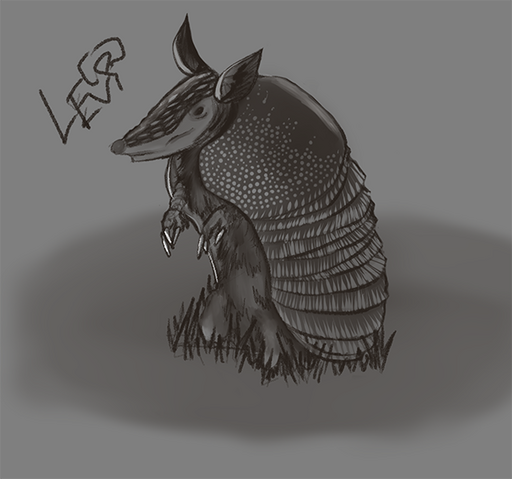 Armadillo