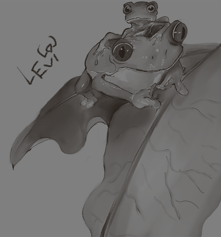Froggo