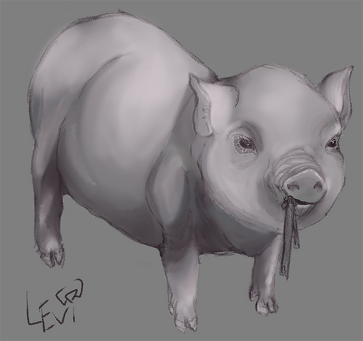 Piggy
