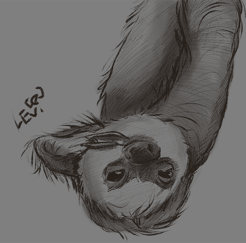 Sloth