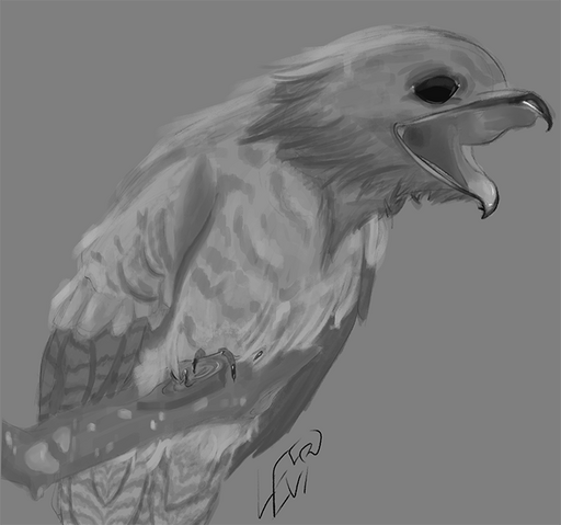 Potoo