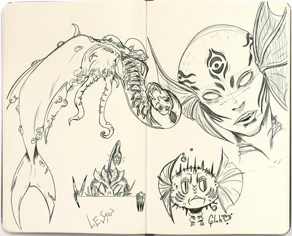 Mer Sketches